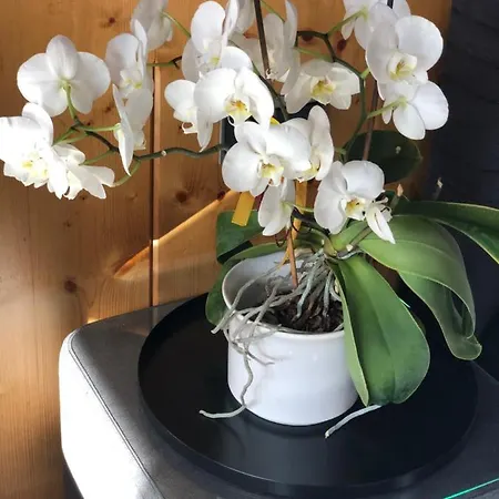 Bed & Breakfast Haus Hubertus - Zimmer - Kueche - Speiseraum Jerzens